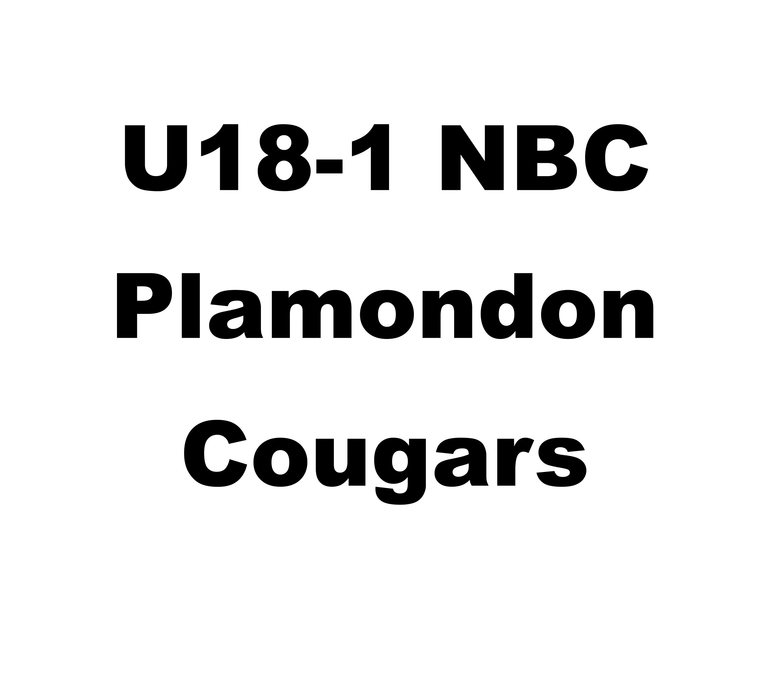 U18 1 NBC Plamondon Cougars